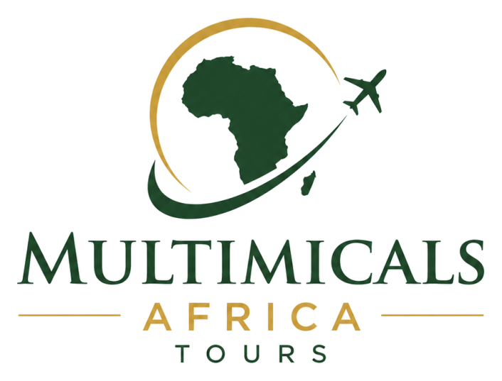 Multimicals Africa Tours